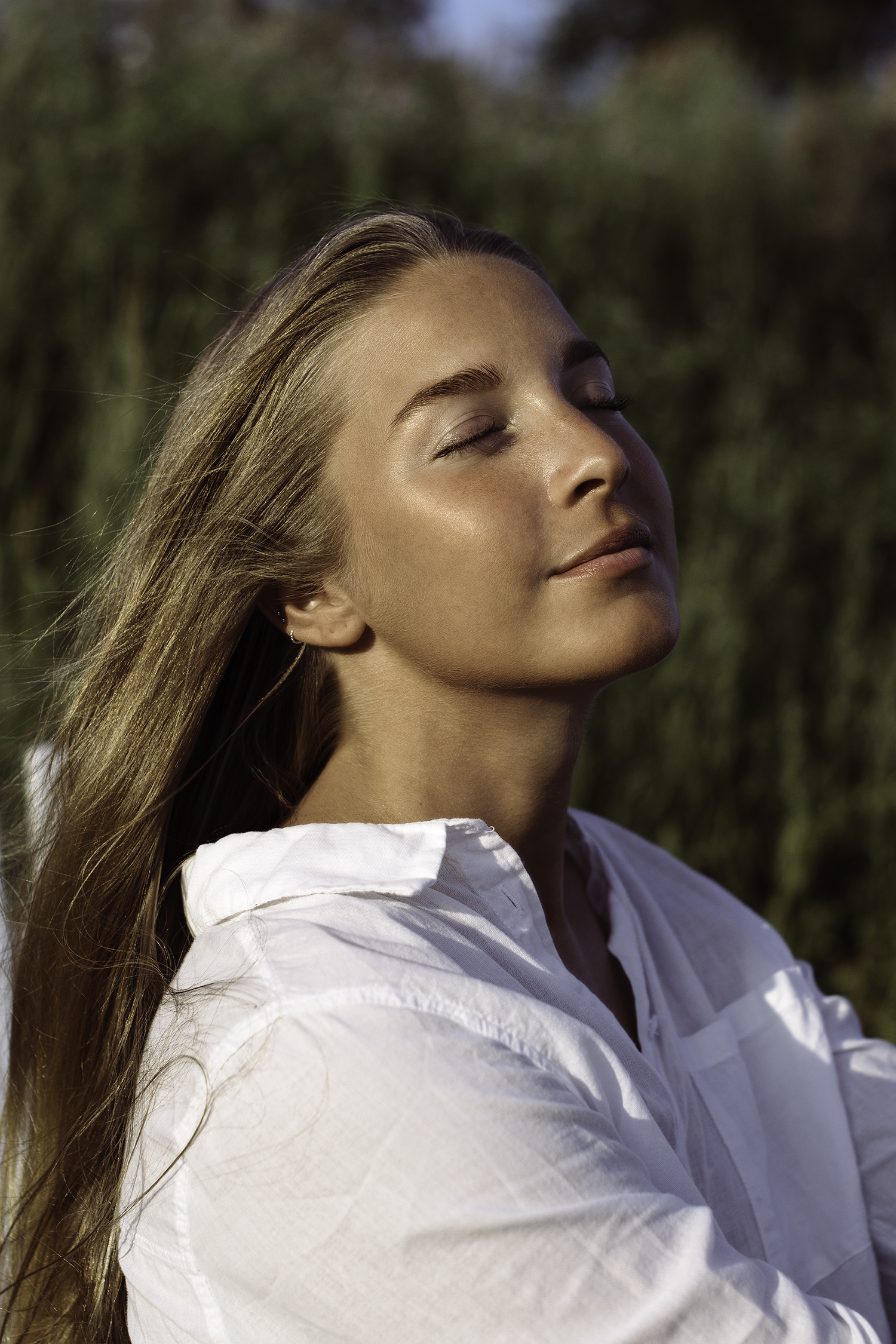 _DSC5228-1500px.png