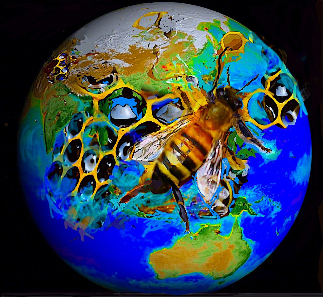 Honeycomb