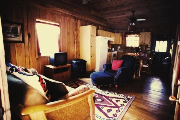Dark Cabin Living Rm.jpg