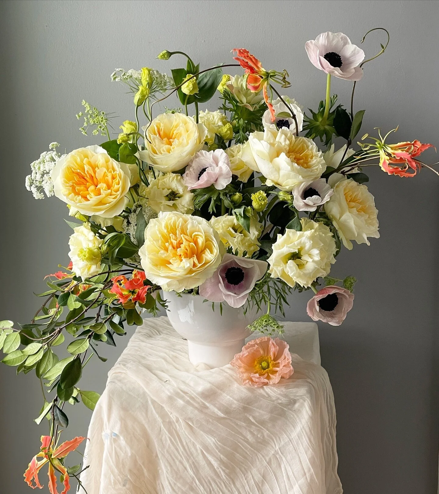 Snow day!!!!
Means design day and clean out the shop. Write proposals, have consults &hellip;.. the list is boring , but these new garden roses are not !!!!!! 
Antonia garden rose is today making my day ! Thank you @florecalofficial for adding one mo