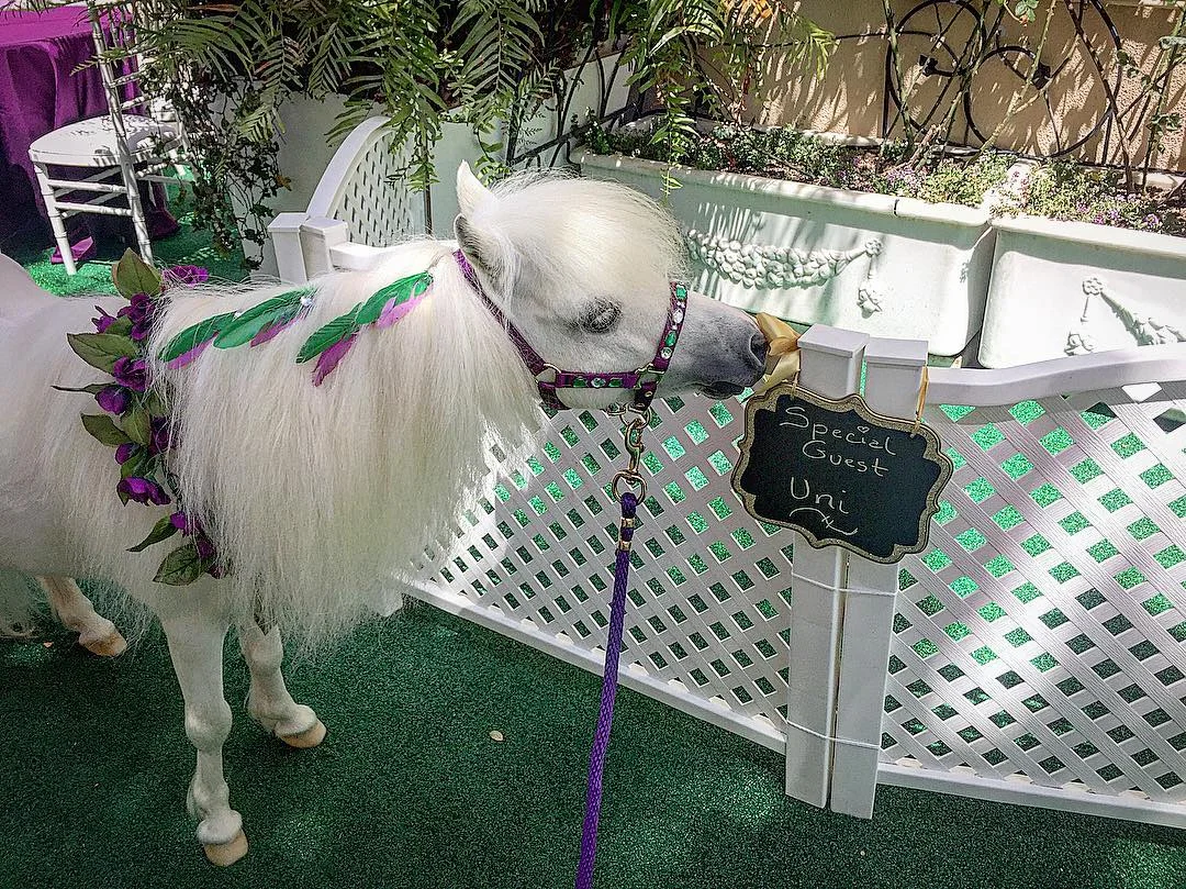 Kentucky Derby Party Guest in Beverly Hills, CA