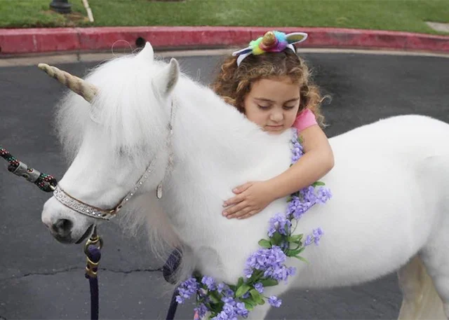 Making Dreams Come True