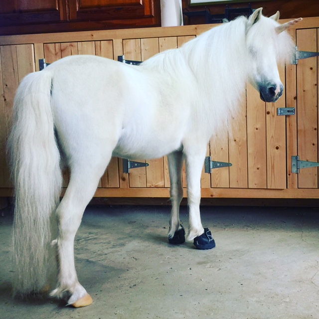My Jogging Boots!