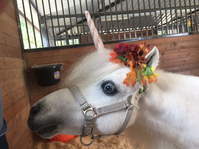 My Flower Crown for Autumn Equinox