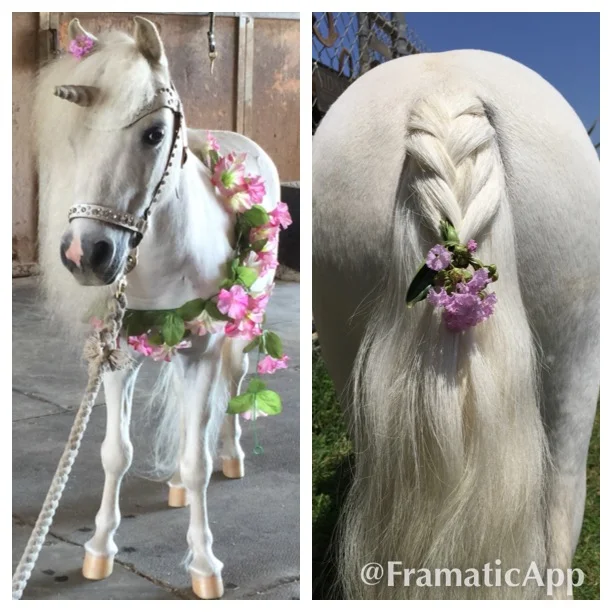My Summer Solstice Look