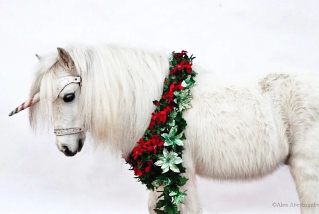 Official Christmas Portrait 2013