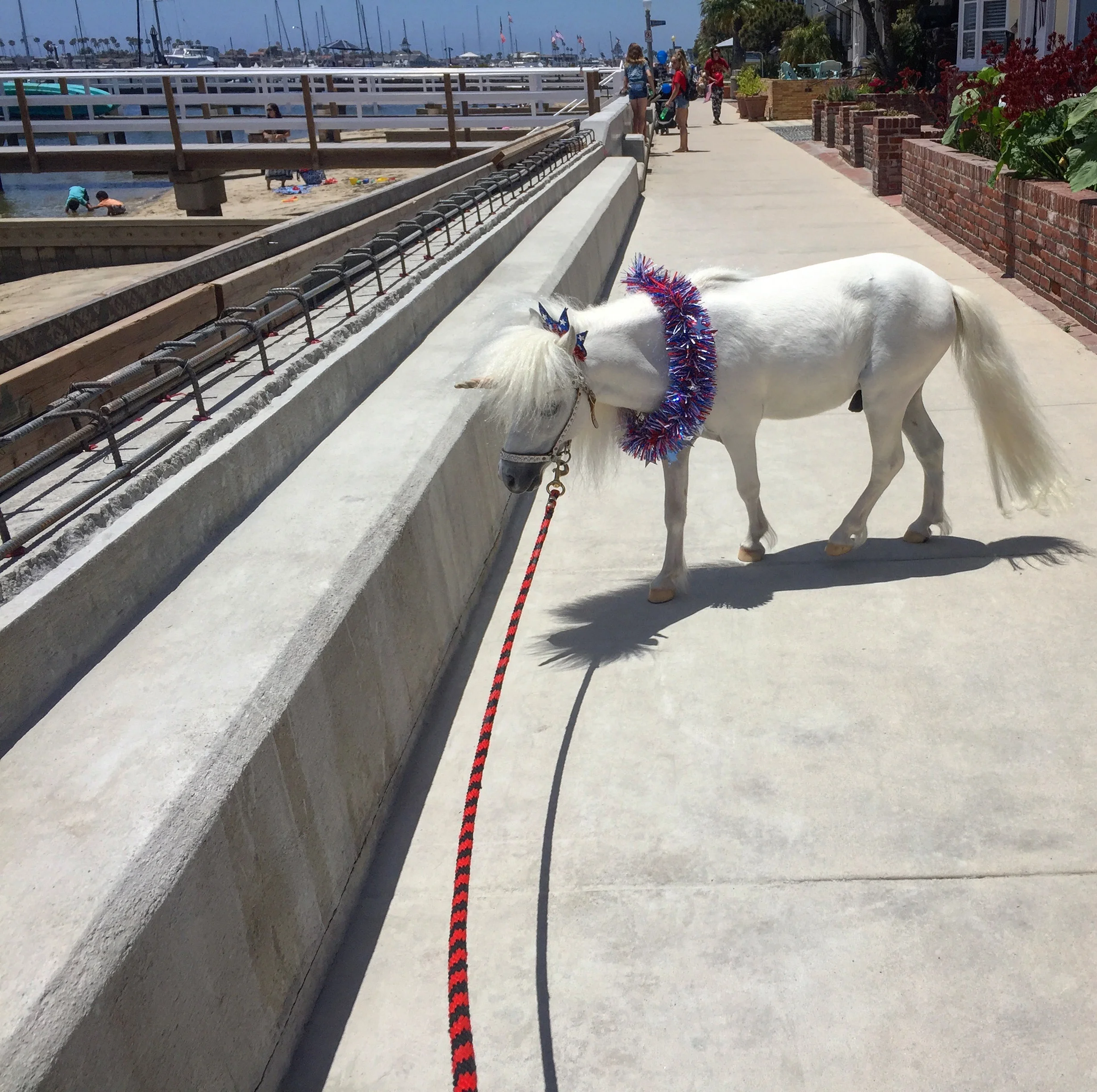 Stroll on Balboa Island, June 2018