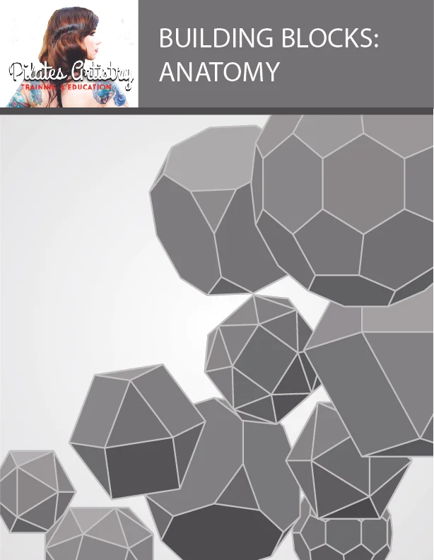 BUILDING BLOCKS: ANATOMY