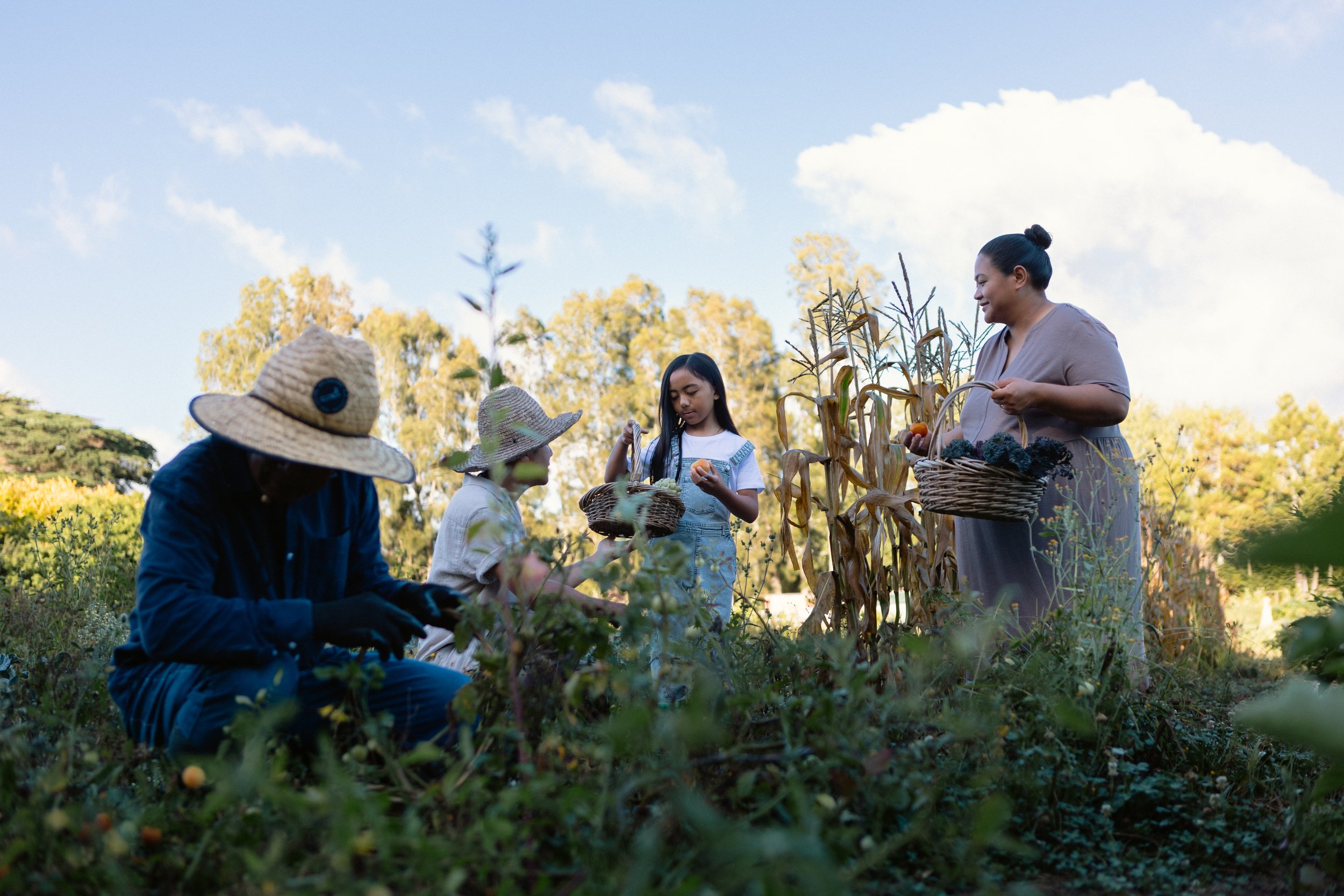 On the Land Magazine
