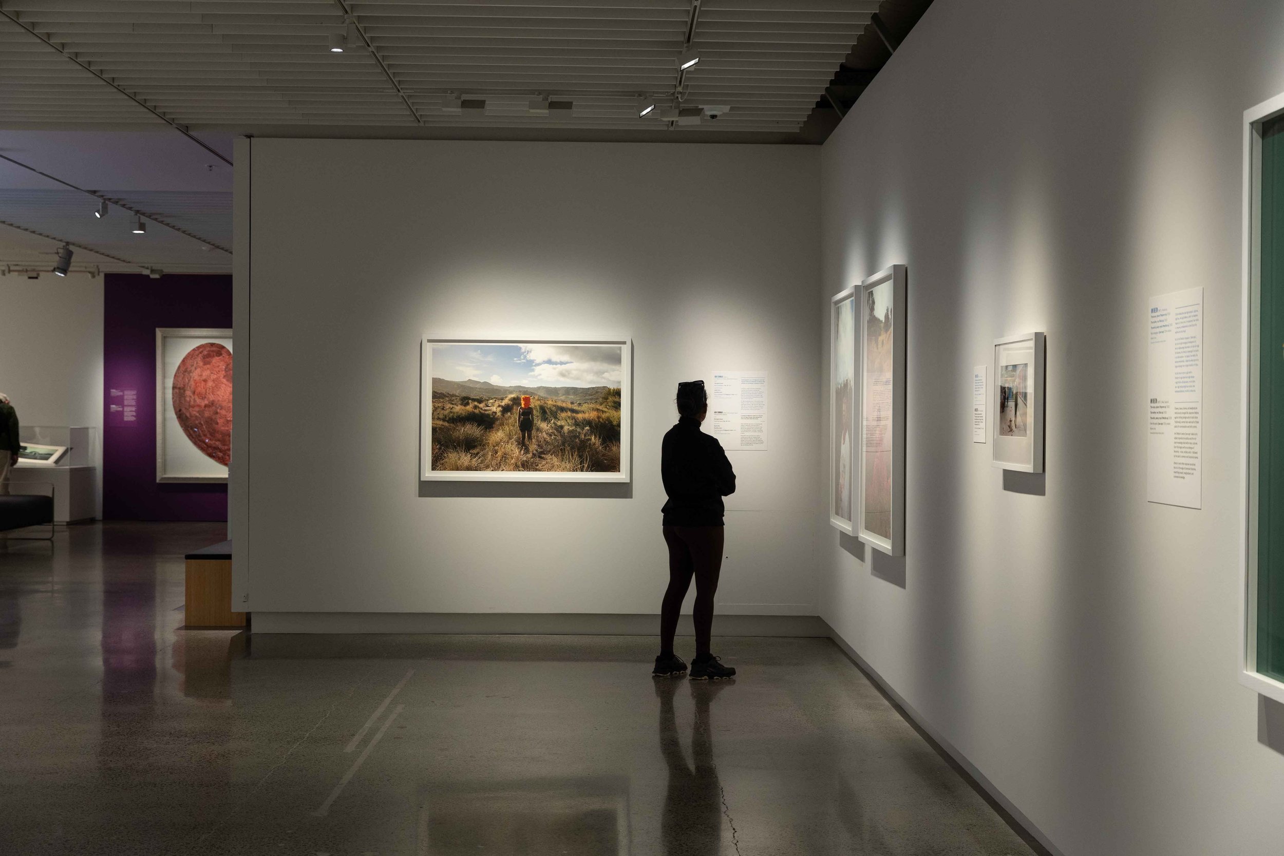 Museum of New Zealand Te Papa Tongarewa