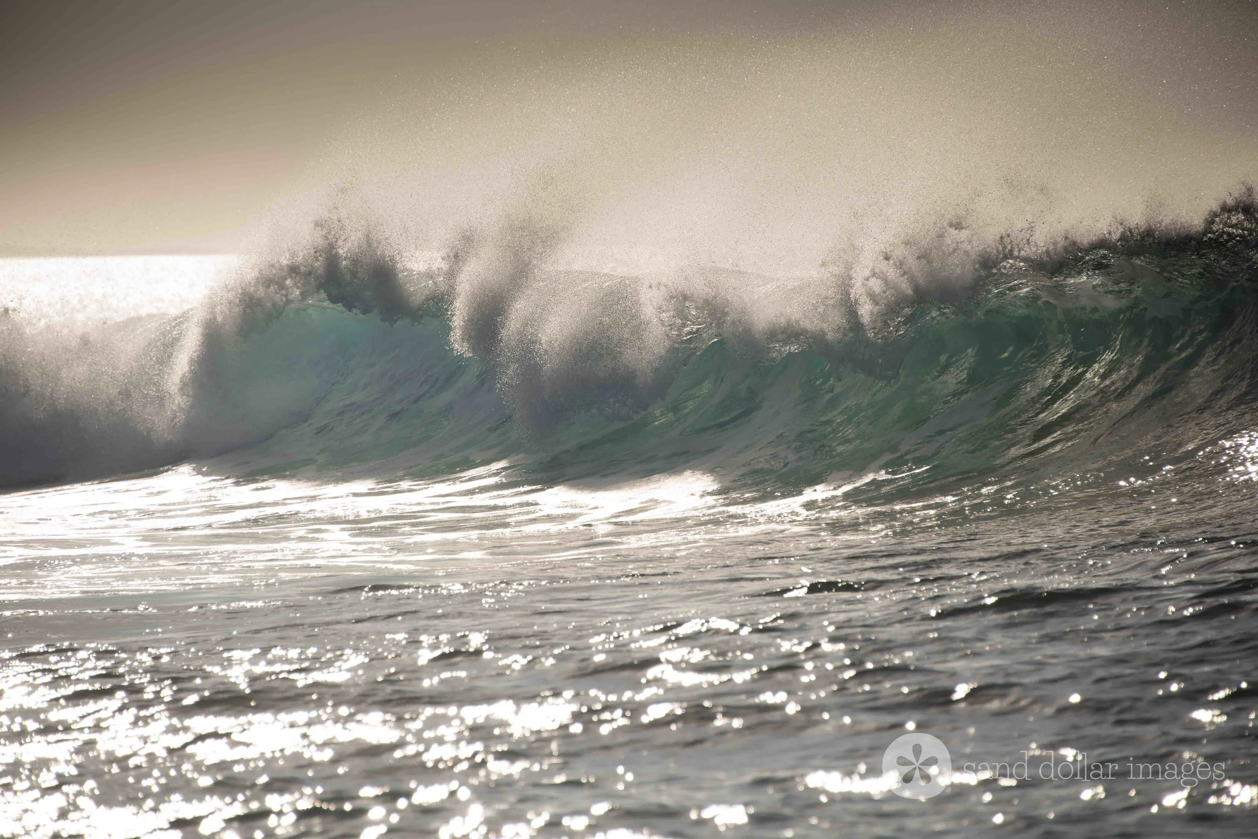 Wave, The Cut