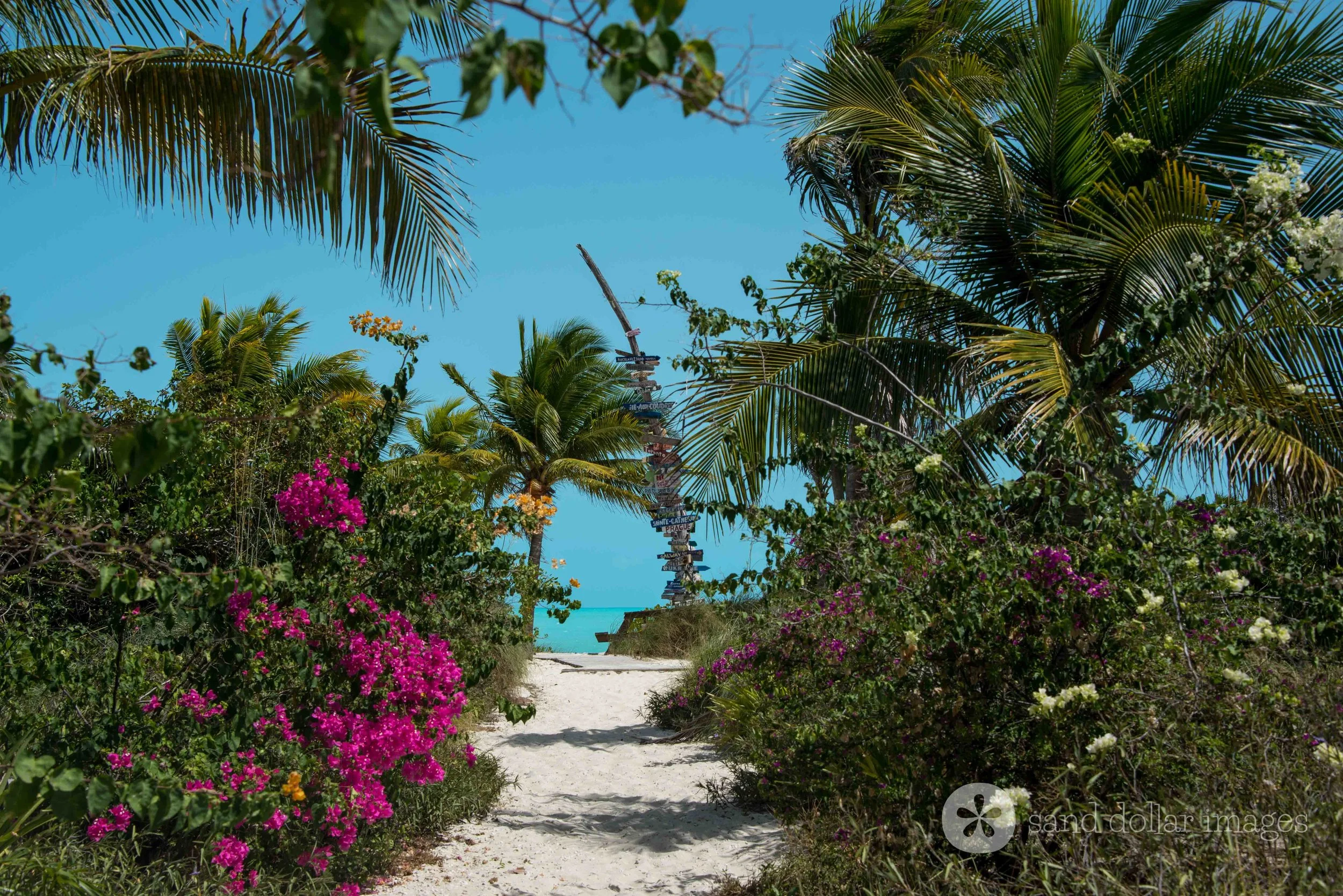 Path to Long Bay
