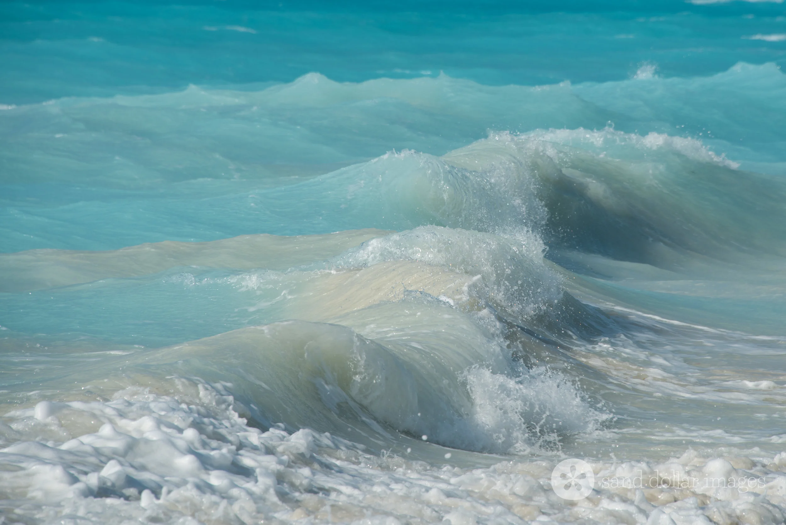 Wild Sea