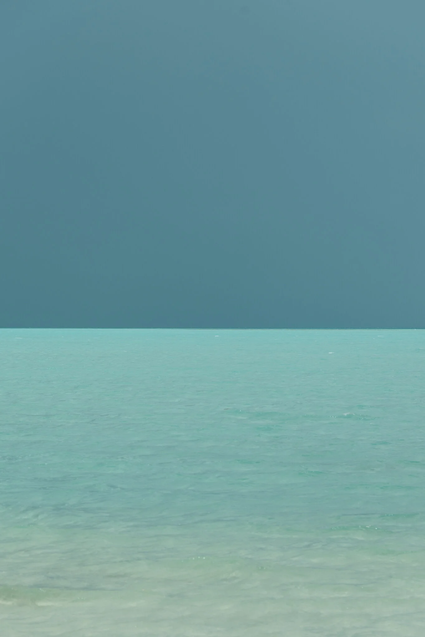 pantone sky web file.JPG