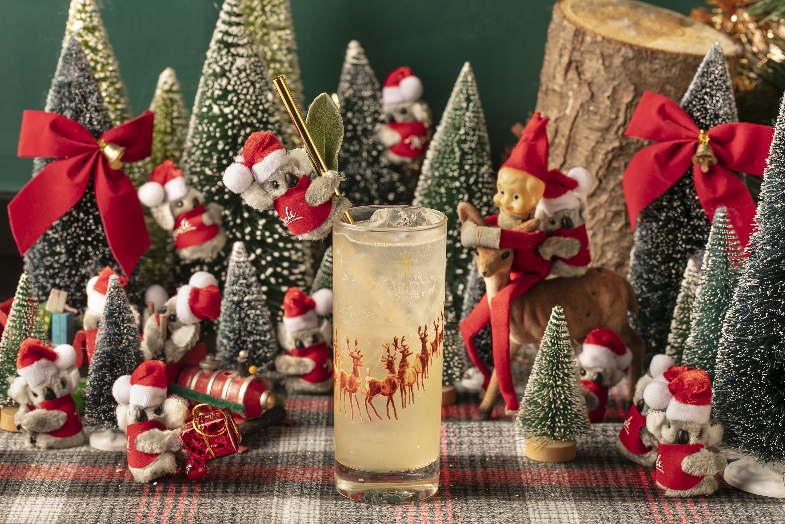 Miracle-2022-SantasLittleHelper-MelissaHom-0S7A0452.JPG