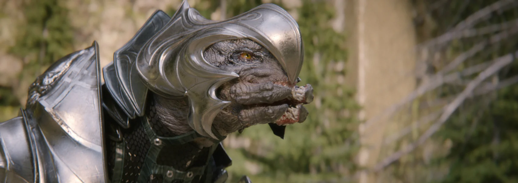 Arbiter