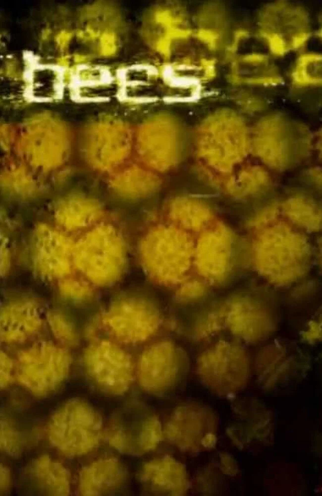 I Love Bees