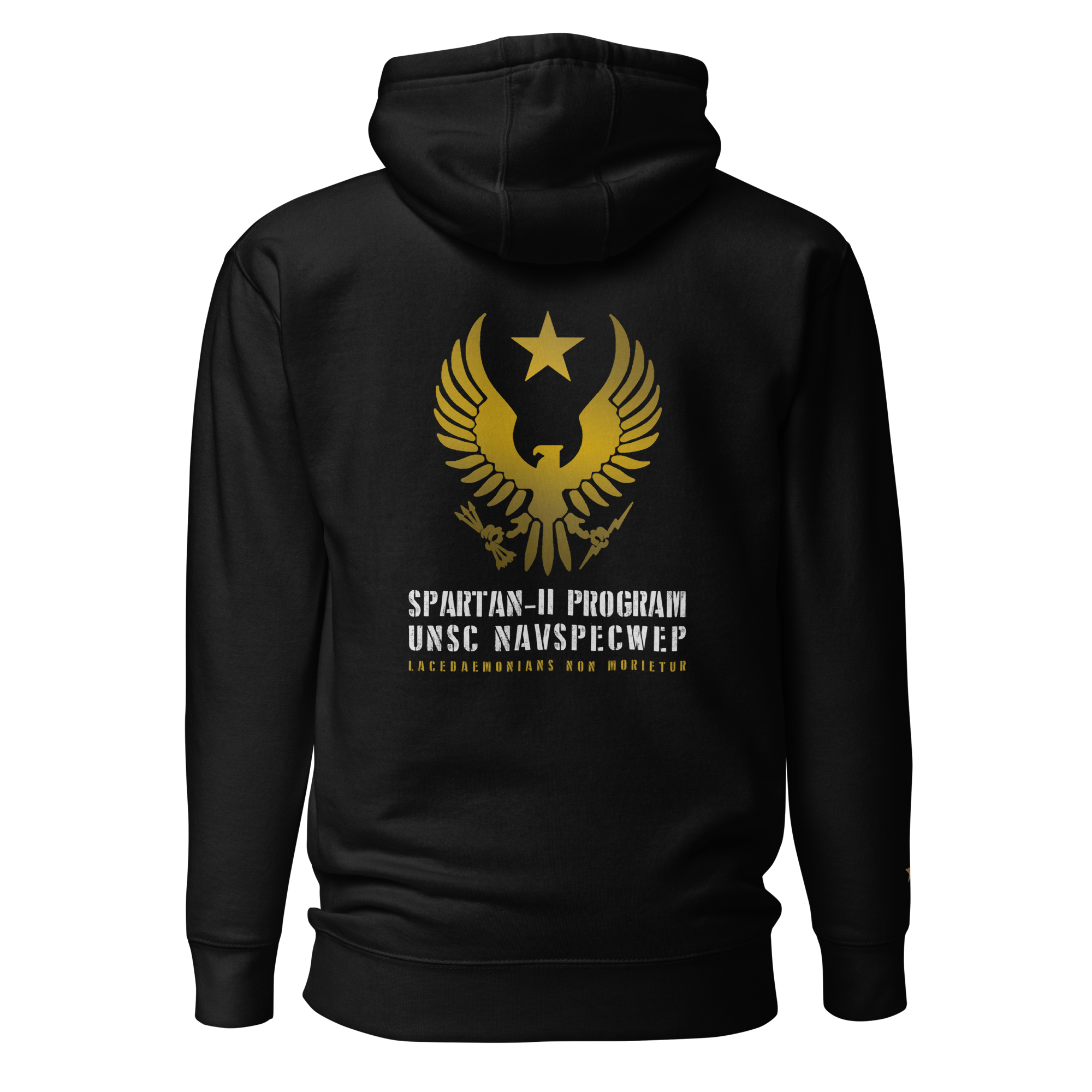 unisex-premium-hoodie-black-back-641246b6d7514.png