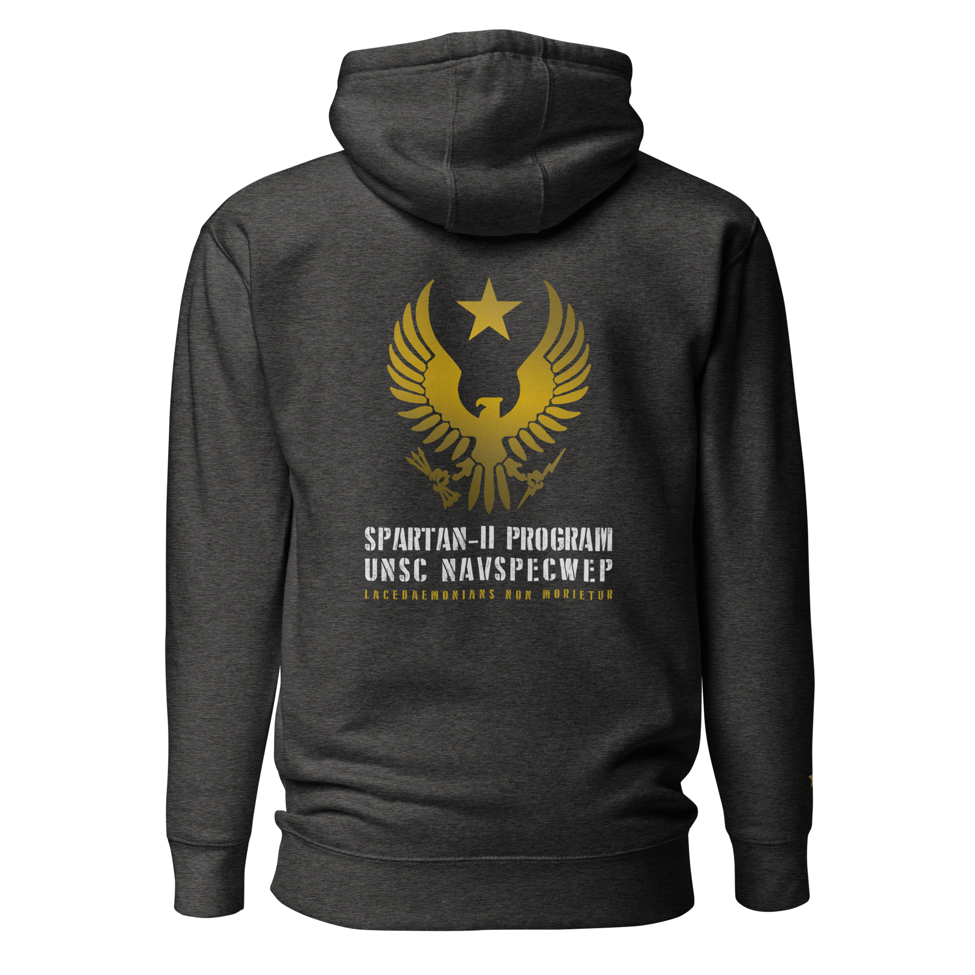 unisex-premium-hoodie-charcoal-heather-back-641246b6da4a3.png