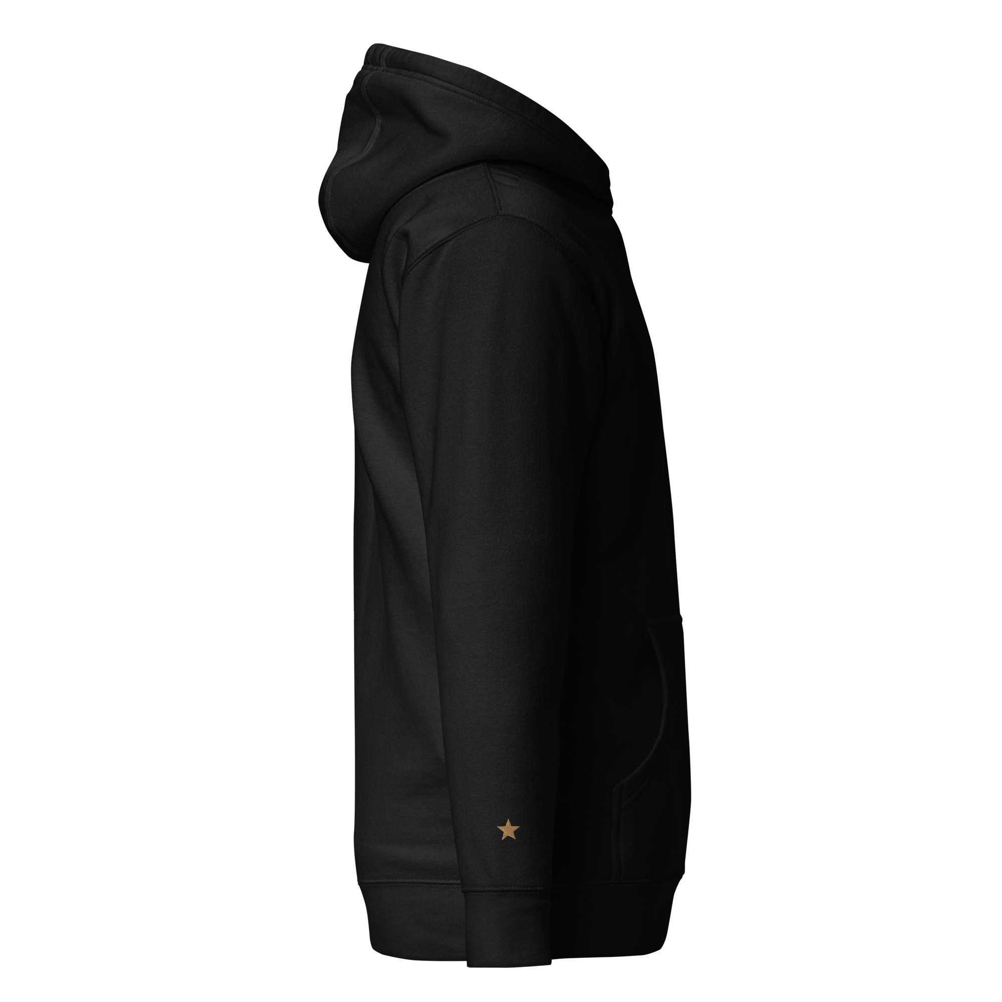 unisex-premium-hoodie-black-right-641246b6dae77.png