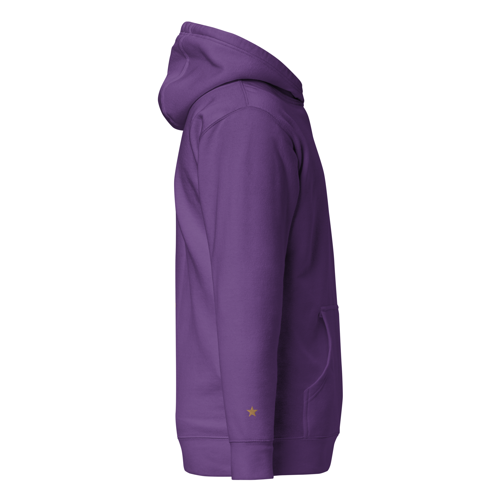 unisex-premium-hoodie-purple-right-641246b6dbcda.png