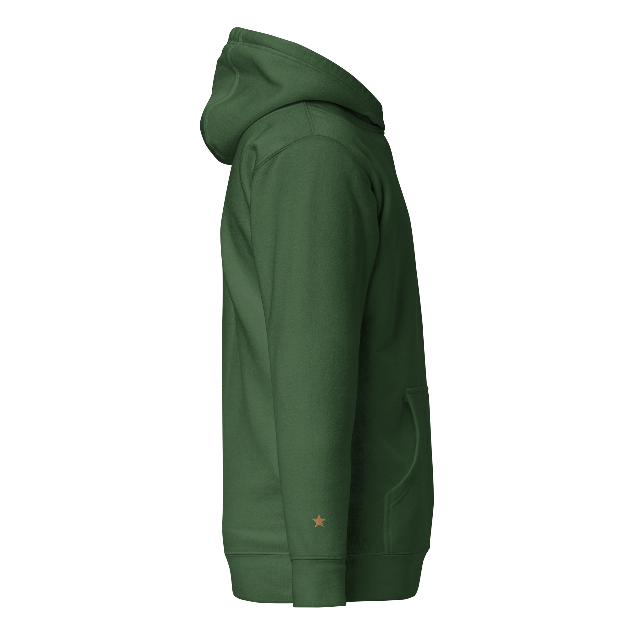 unisex-premium-hoodie-forest-green-right-641246b6dcd17.png