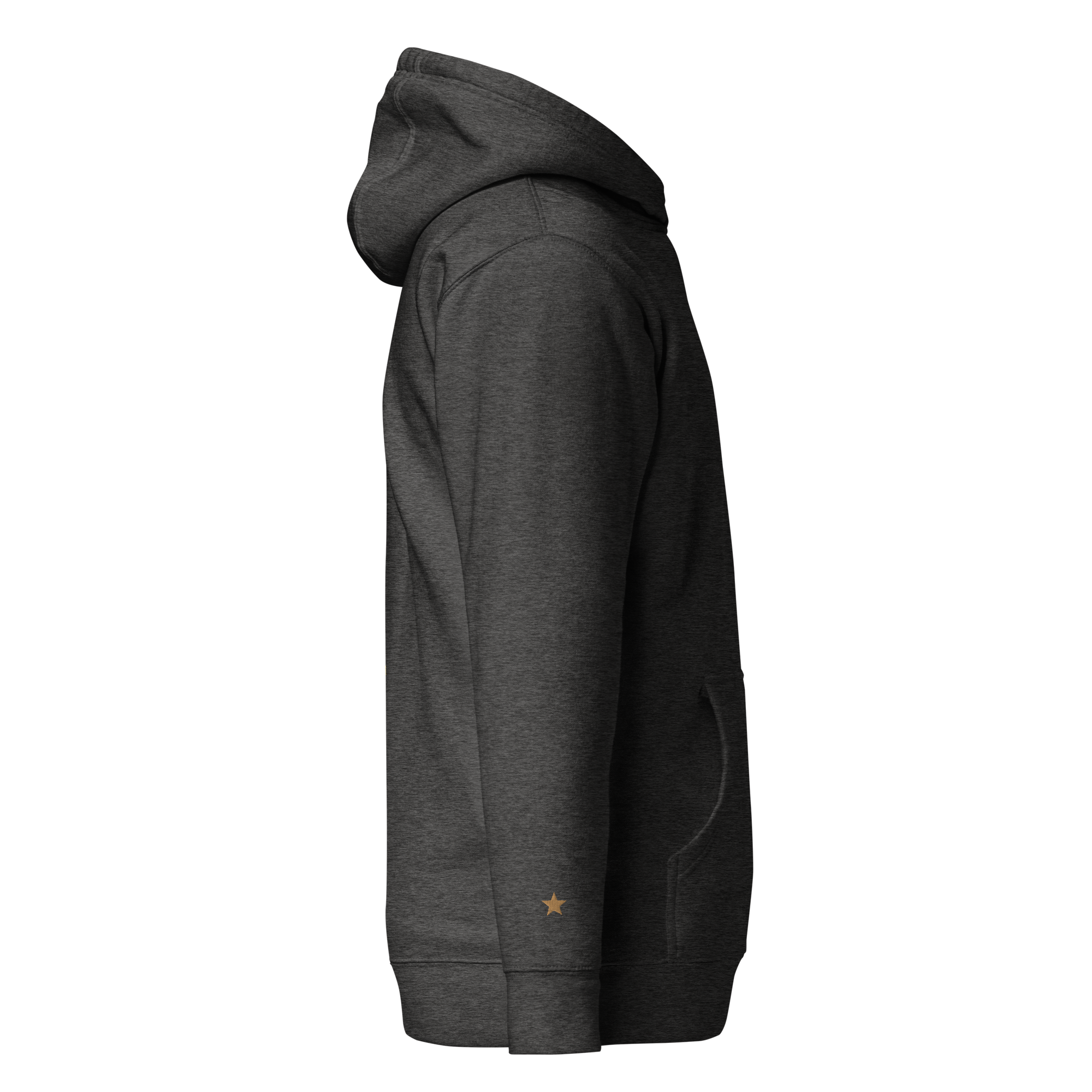 unisex-premium-hoodie-charcoal-heather-right-641246b6ddbb2.png