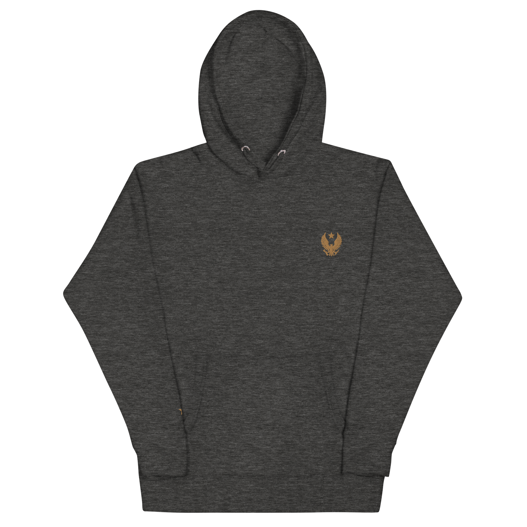 unisex-premium-hoodie-charcoal-heather-front-641246b6dec1a.png