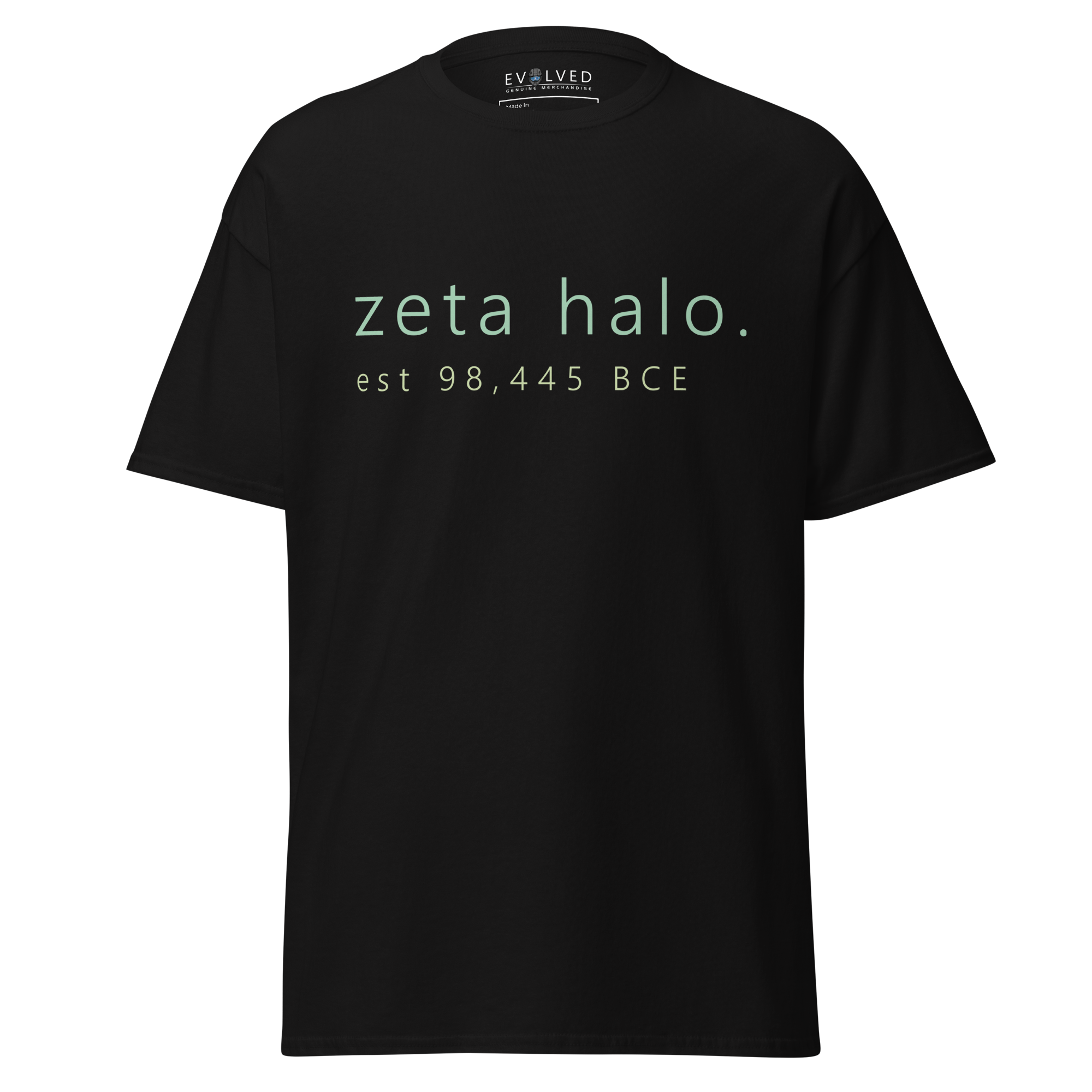 mens-classic-tee-black-front-64124980ad796.png