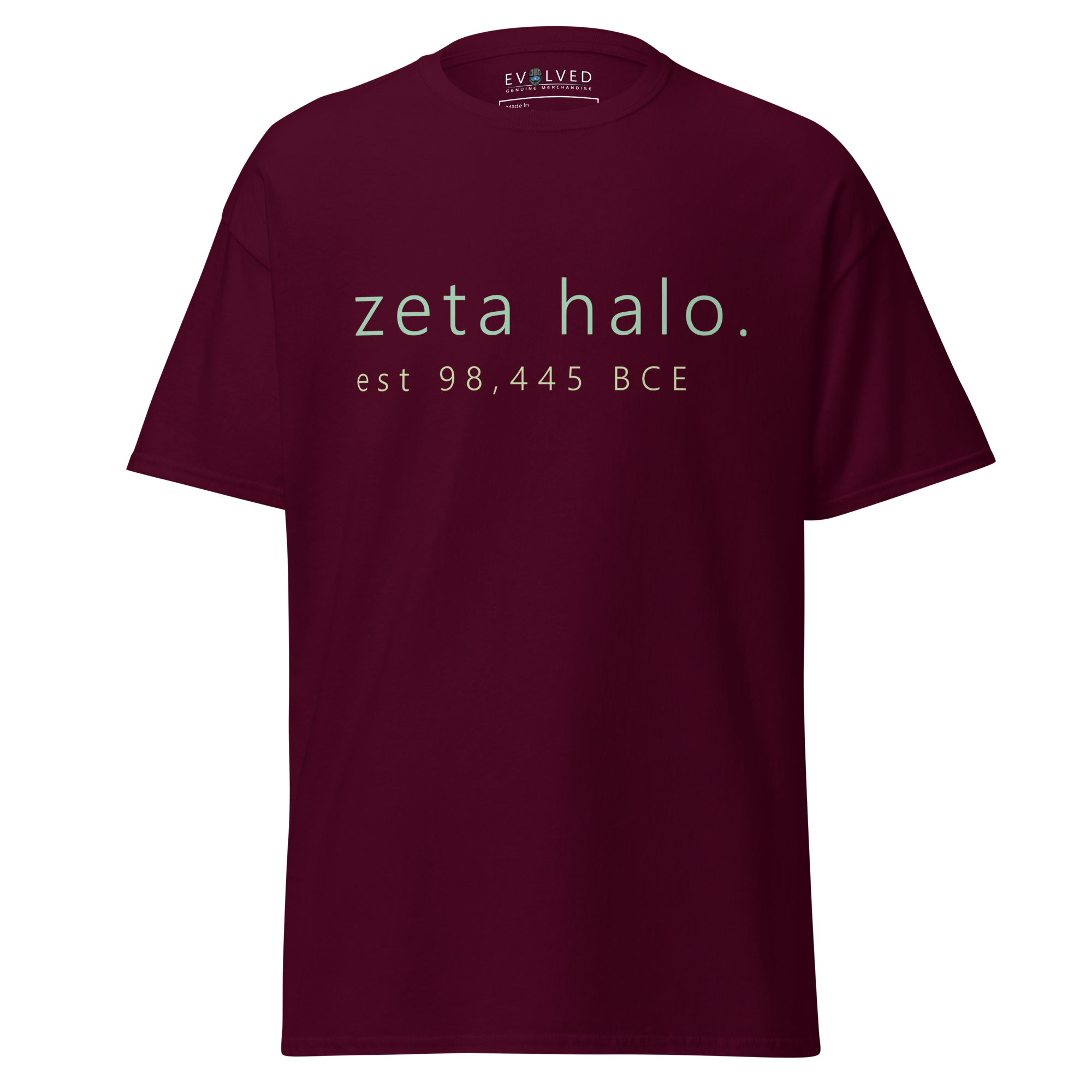 mens-classic-tee-maroon-front-64124980b163e.png