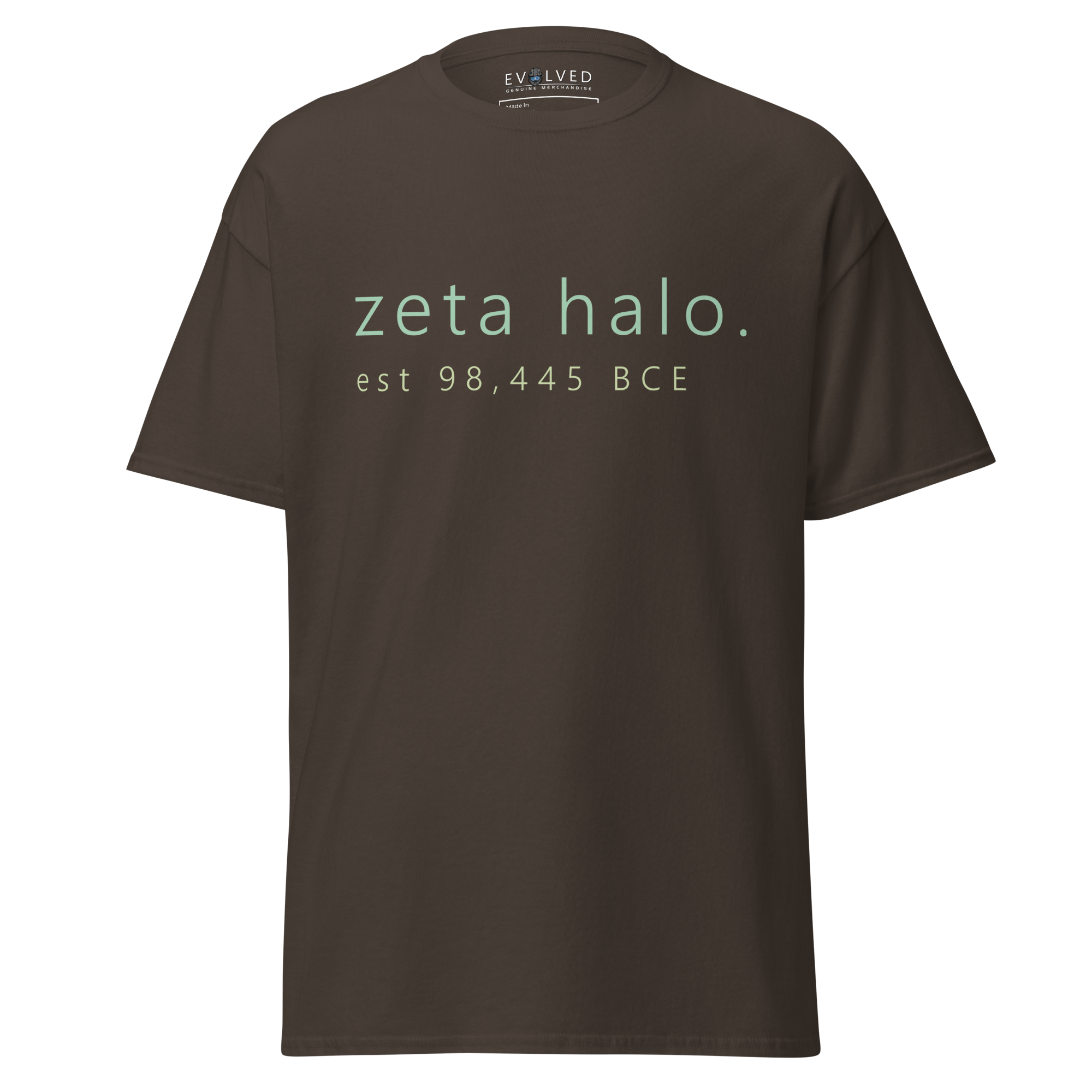 mens-classic-tee-dark-chocolate-front-64124980b30aa.png
