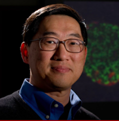 ______________________________