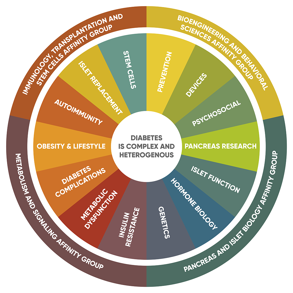 Research Affinity Groups — Stanford Diabetes Research Center