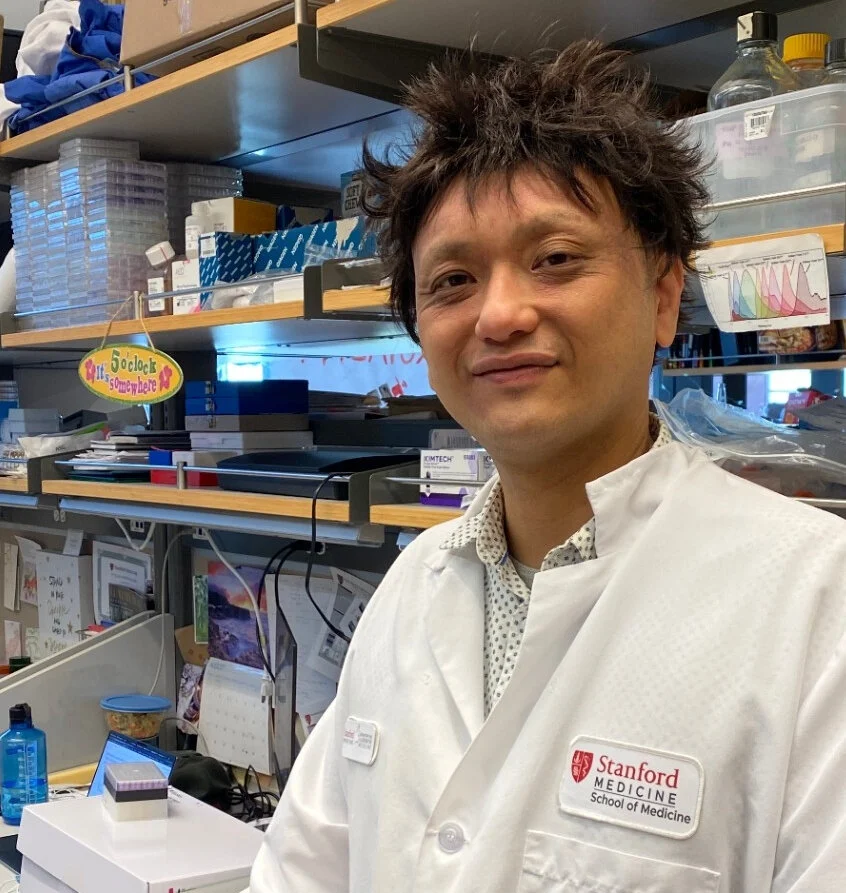 Old skeletal stem cells interfere with healing, promote 'inflammaging'