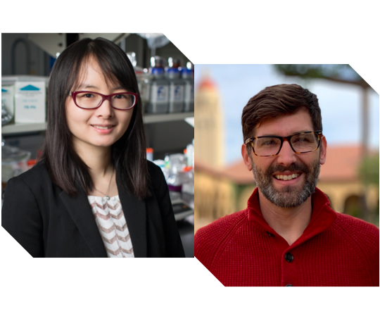 Hanwha-TotalEnergies IUPAC Young Polymer Scientist Award 2022; Eric Appel, PhD