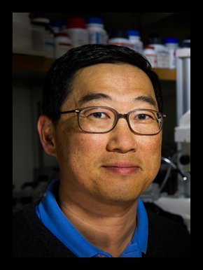 Seung Kim, MD, PhD (Stanford)