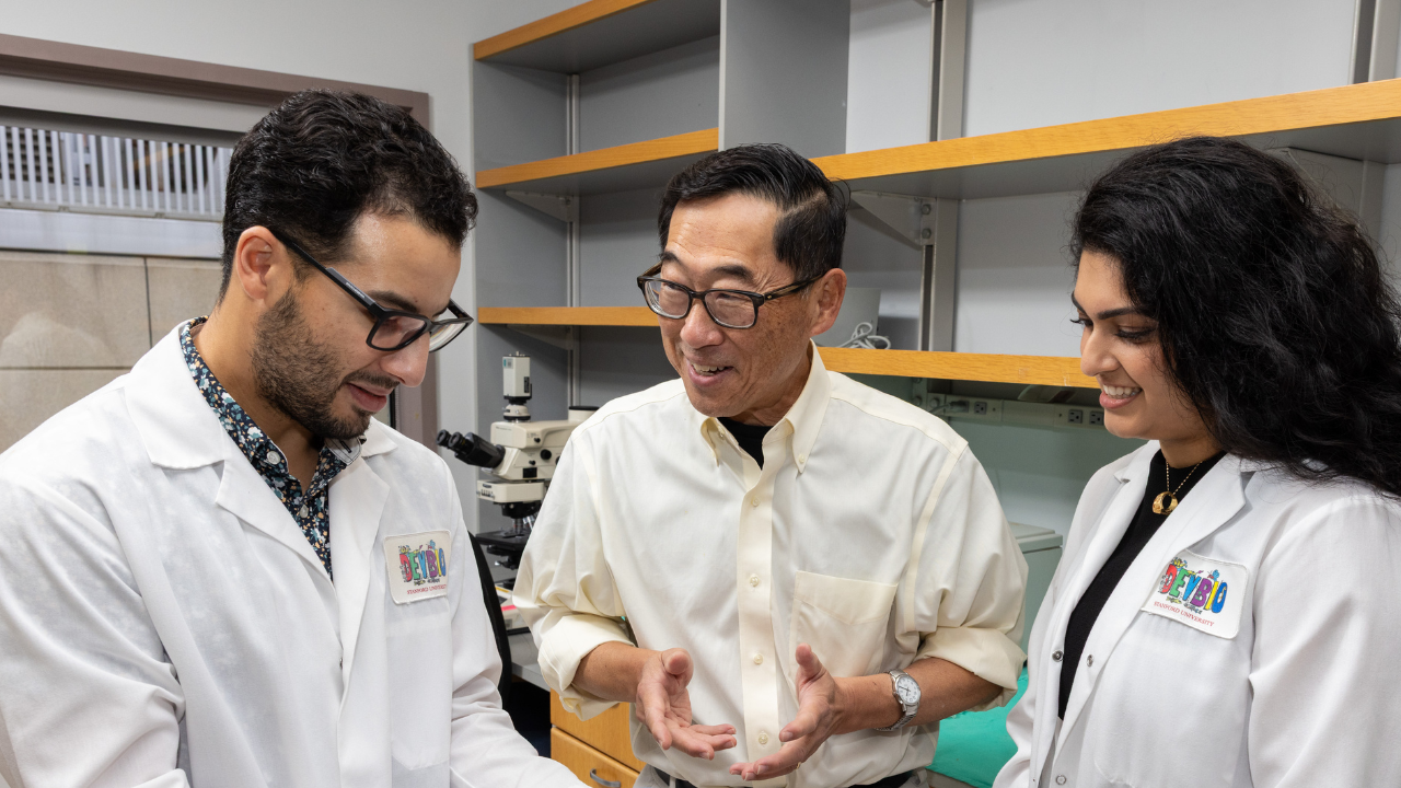 Type 1 Diabetes Cured in Groundbreaking Study with mice by SDRC investigators