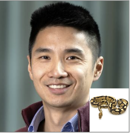 A Python-Derived Molecule Called pTOS Could Point to New Weight-Loss Pathways&nbsp;