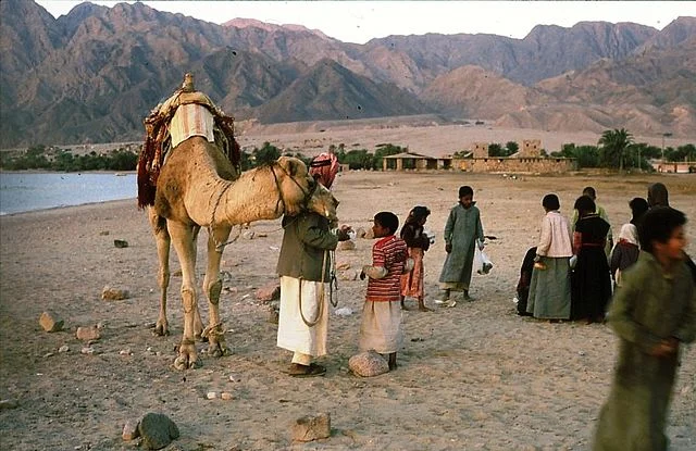 bedouin 6.jpg