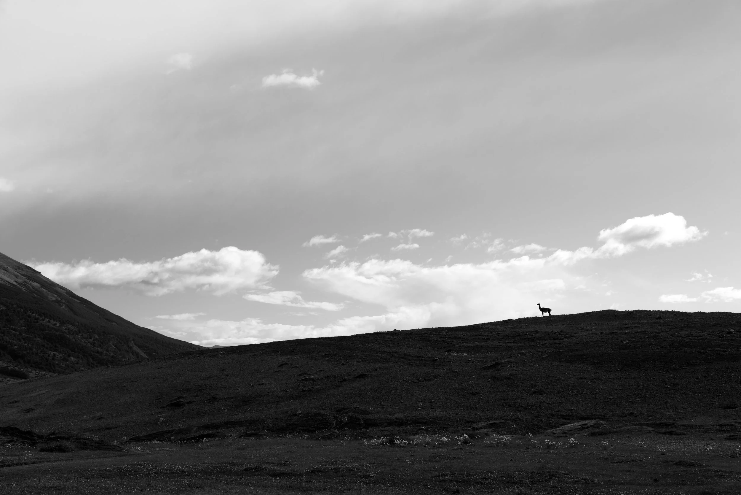 L1010686-2.jpeg