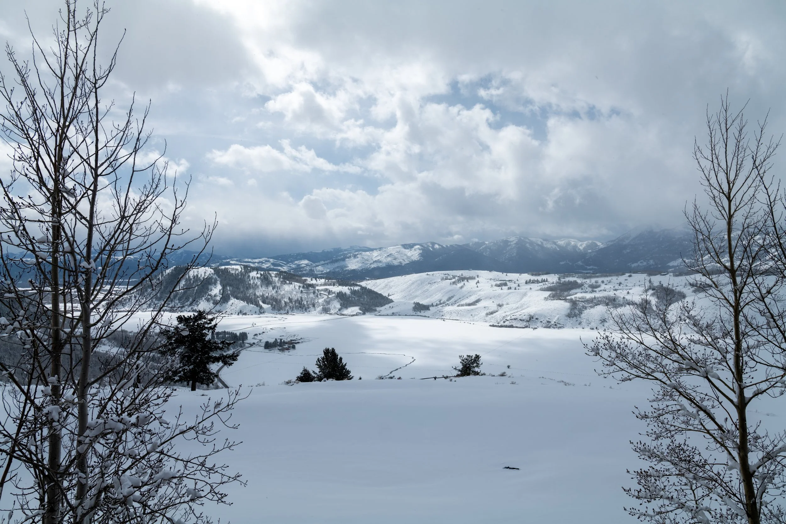 jackson hole pow blu.jpeg