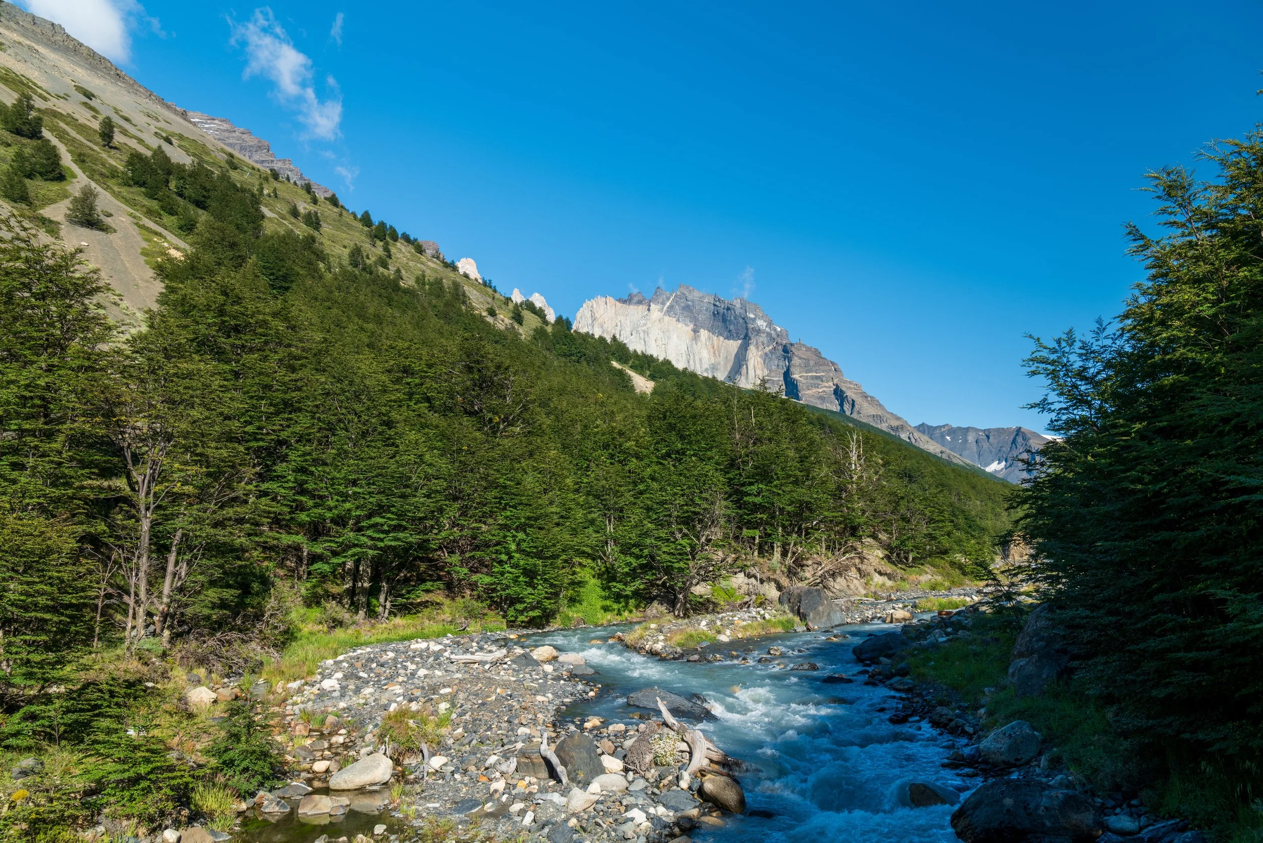 patagonia.jpeg