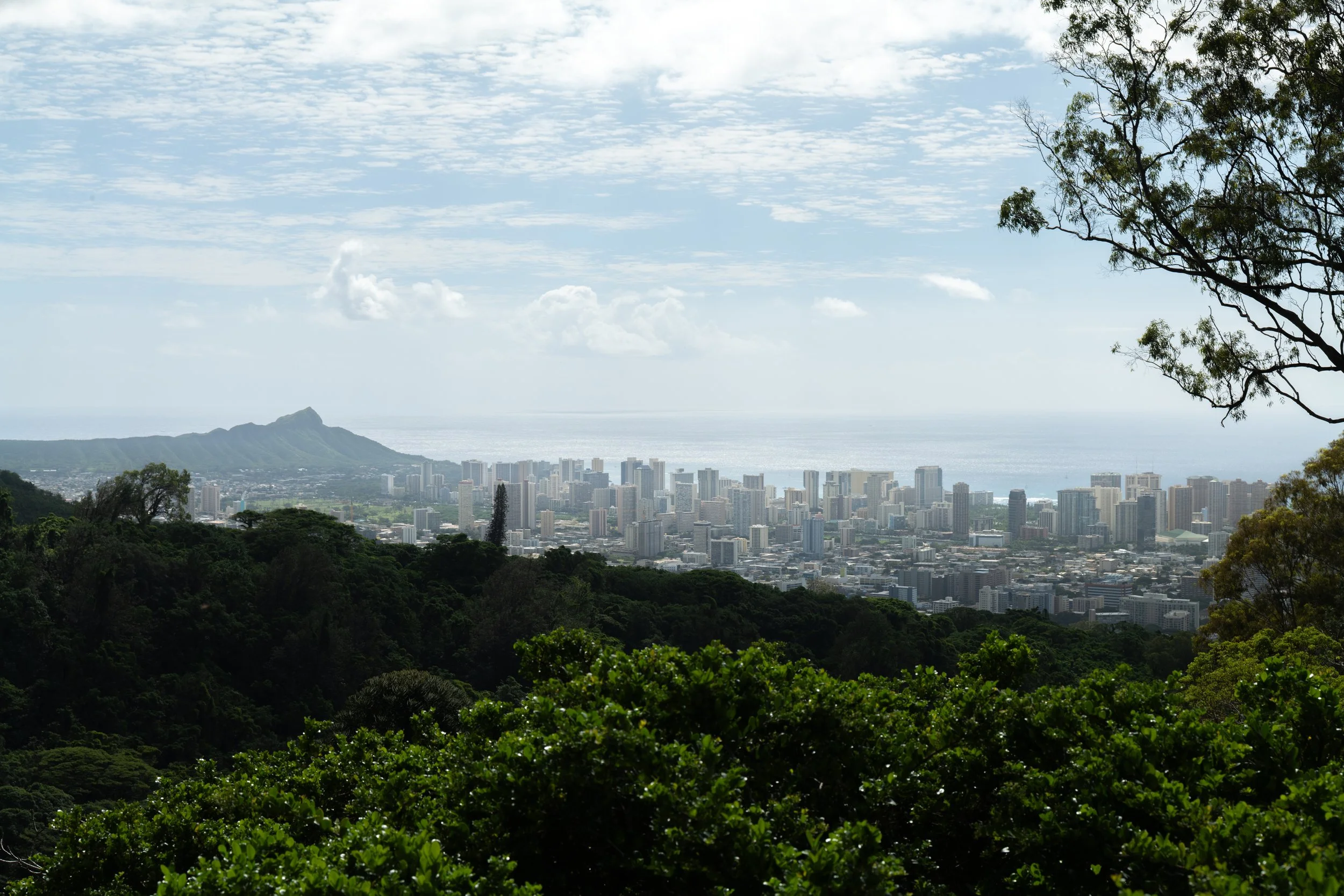 liljestrand south.jpg