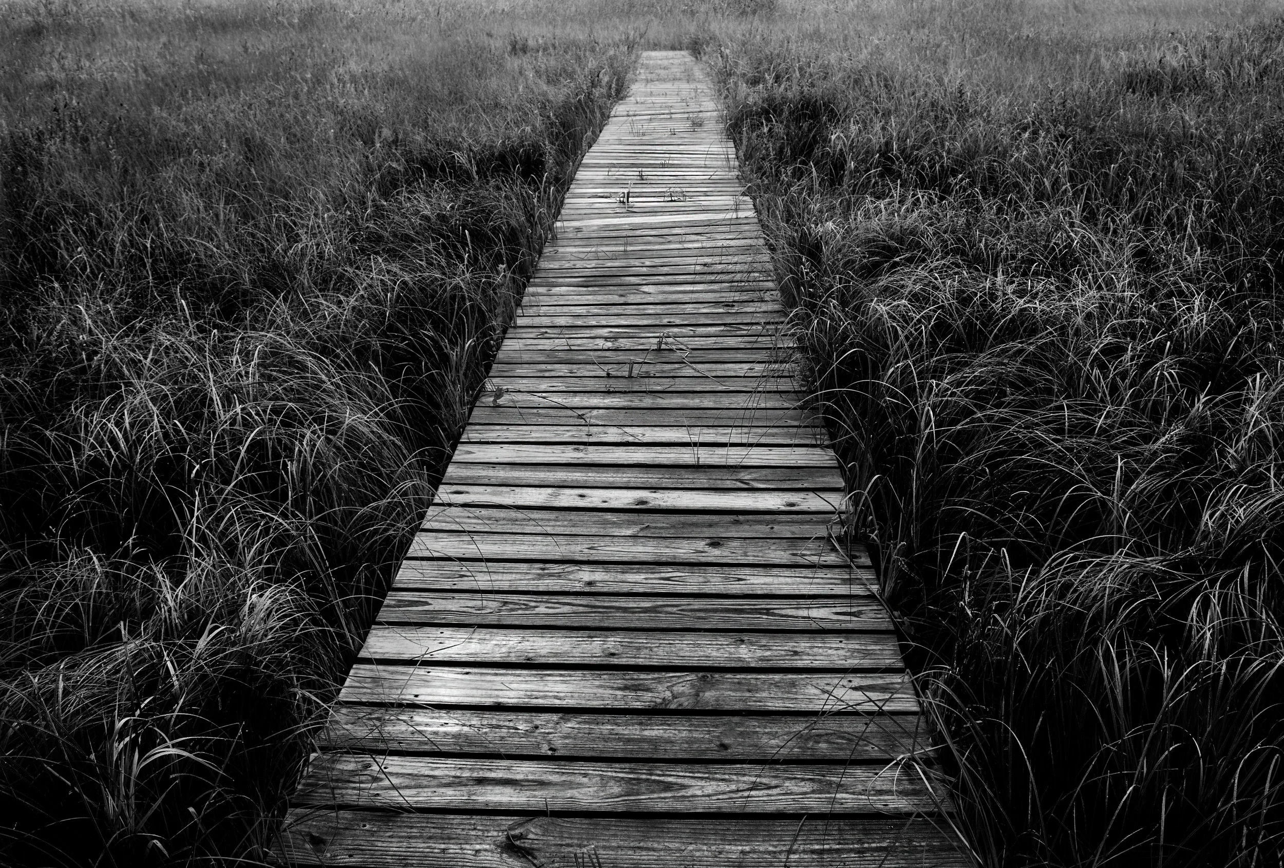 Jetty, 20'“ x 13 1/2”, $150