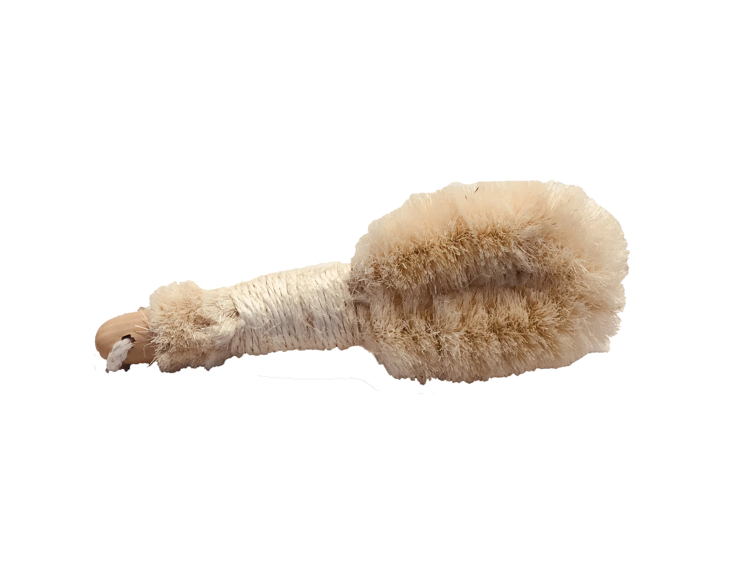brush.jpg