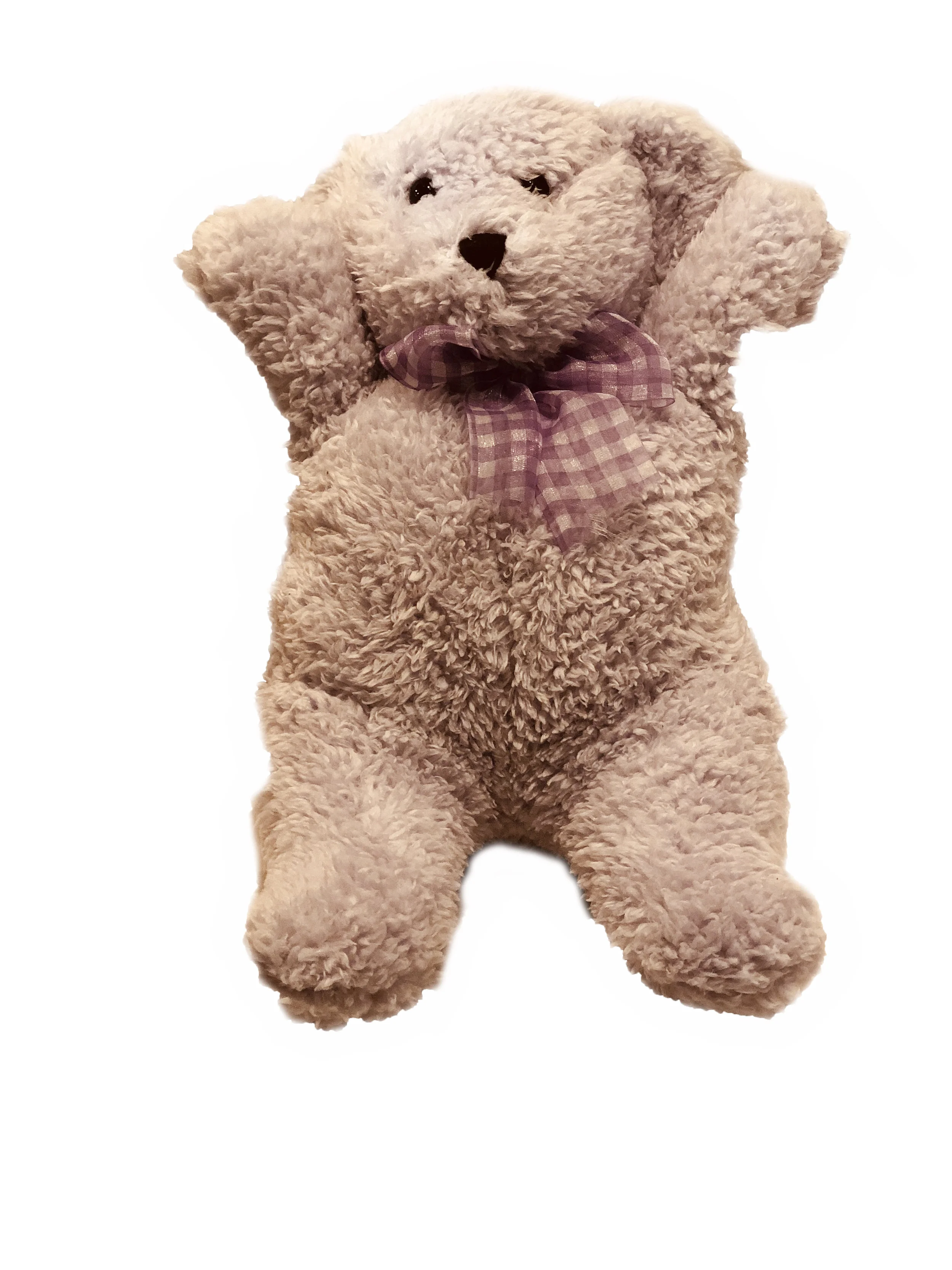bear.jpg
