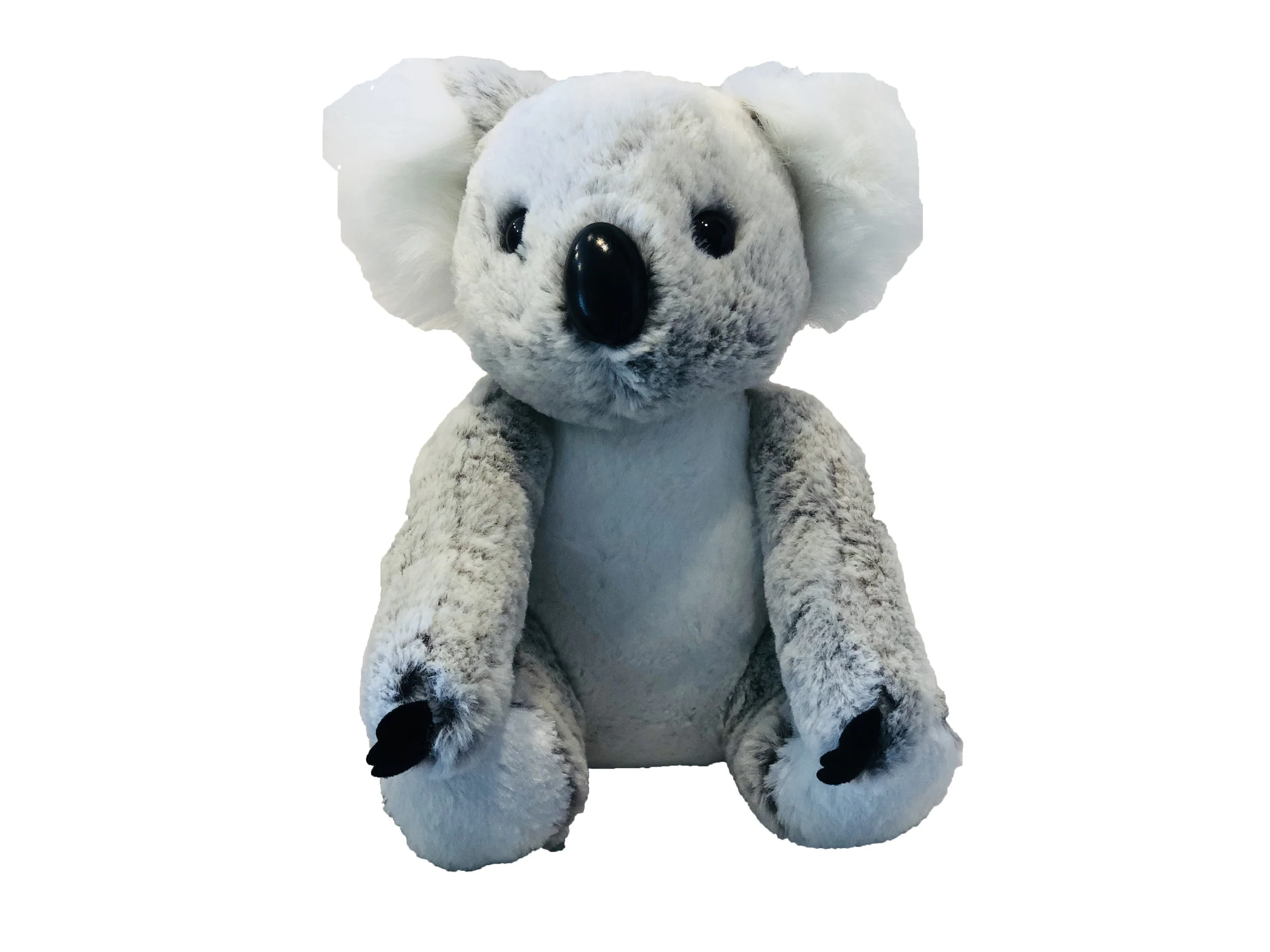 koala.jpg
