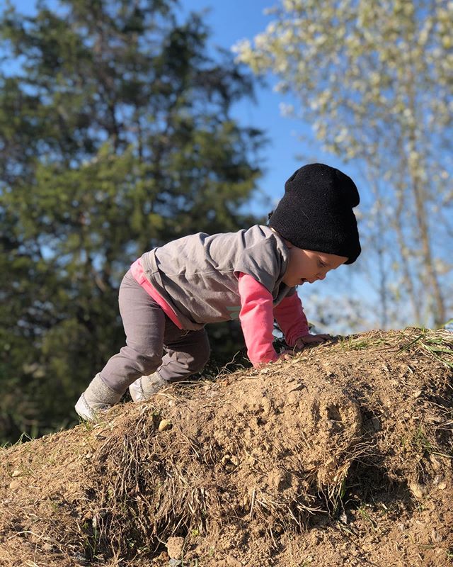 Wiley got to hangout at @stonehousemarketfarm with @j.rolett and family yesterday.  I think he had fun.  Give him a pile of dirt and a farmer and he feels at home.