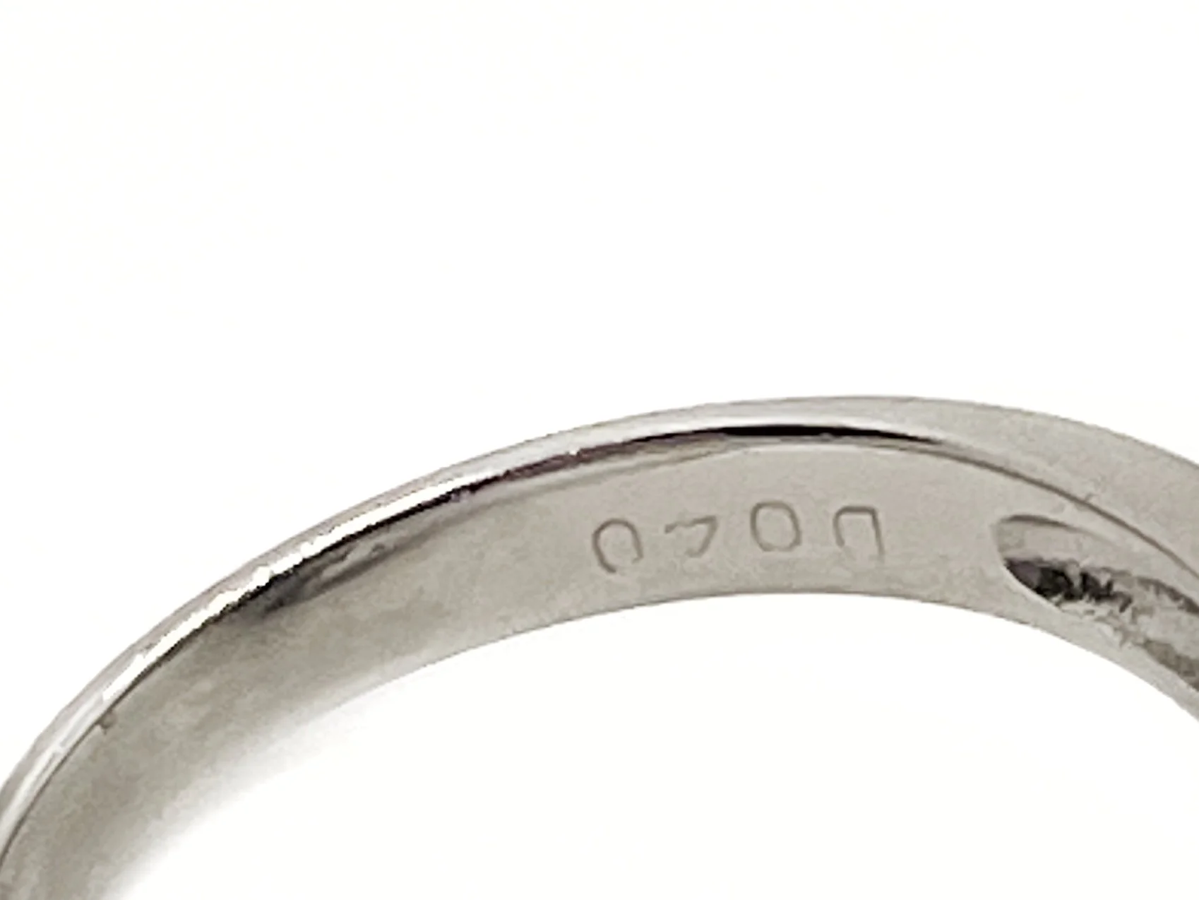 IMG_6919.jpg