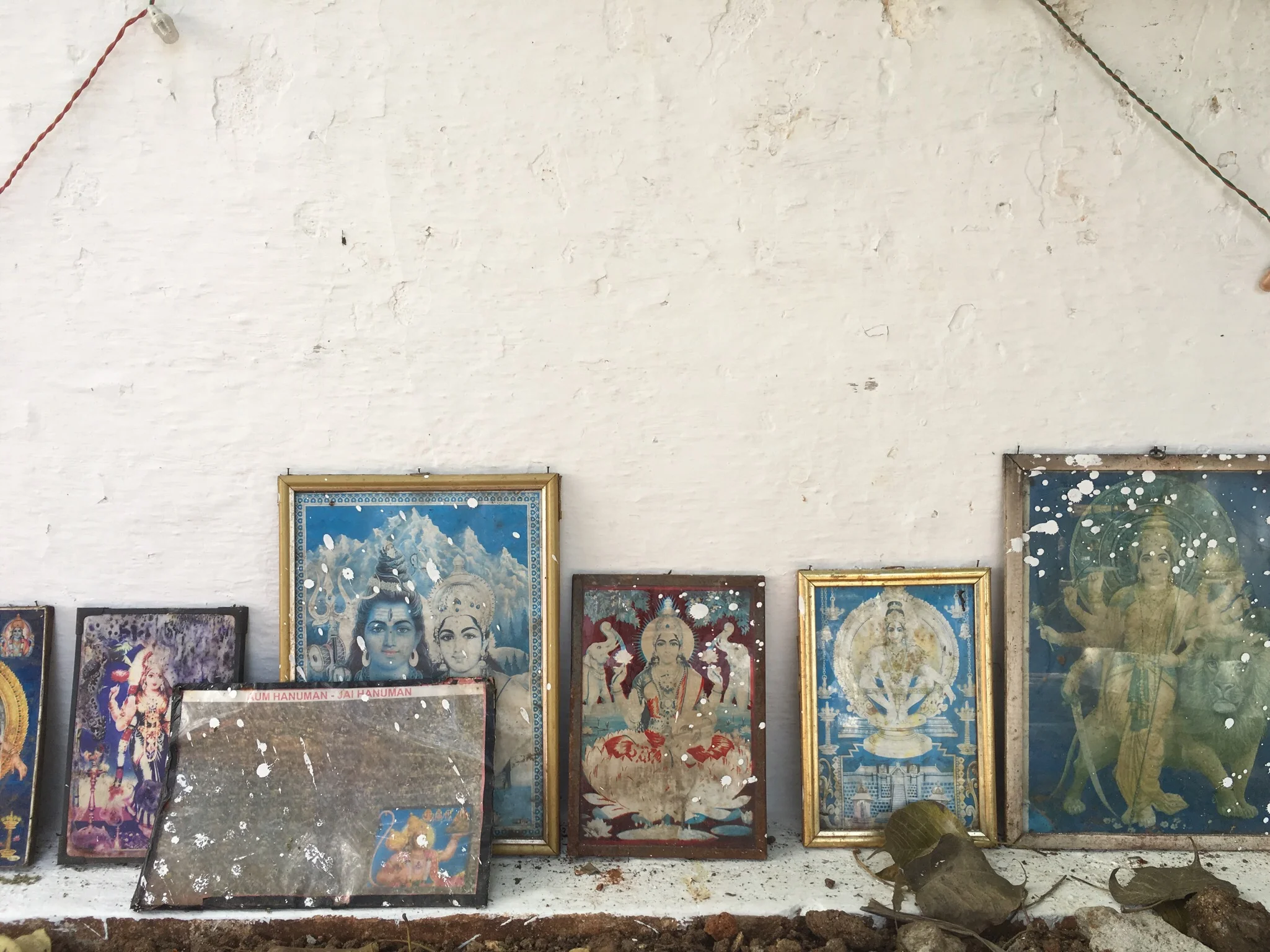 Copy of IMG_2736.JPG